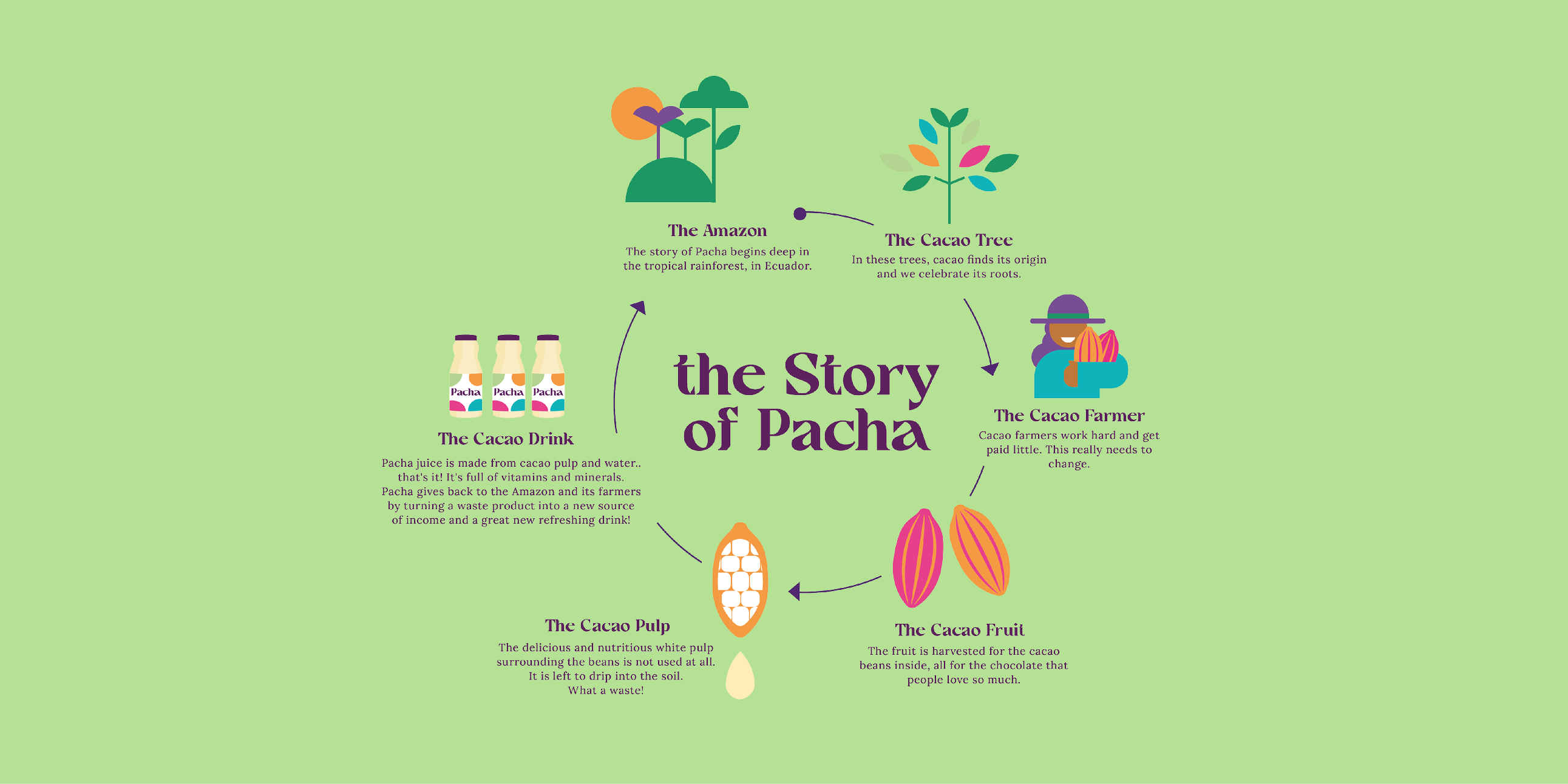 Infographic about the story of Pacha de Cacao