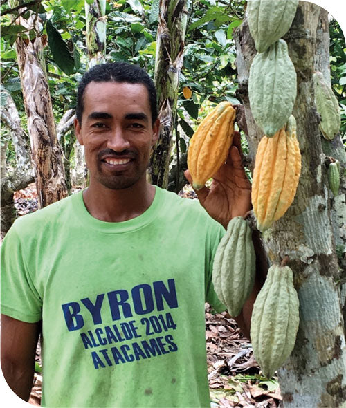 Farmer standing next to a cacao tree showing the cacao fruit